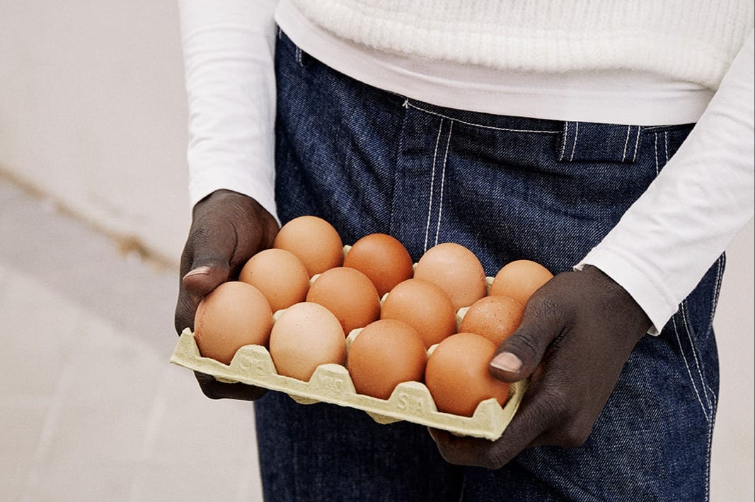 Crashed Eggs
