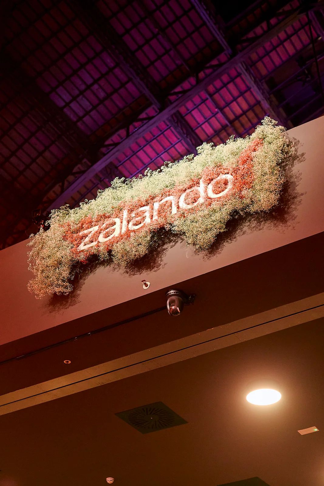 acero-verbena-zalando-07.webp