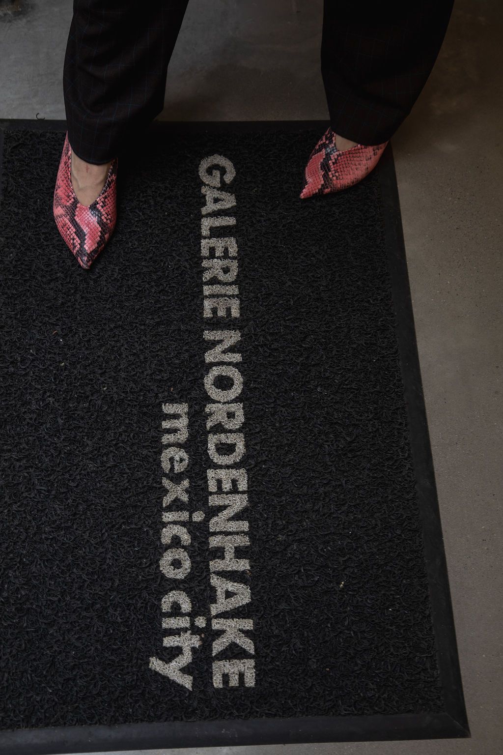 ZNordenHakeGaleria2copie.jpg