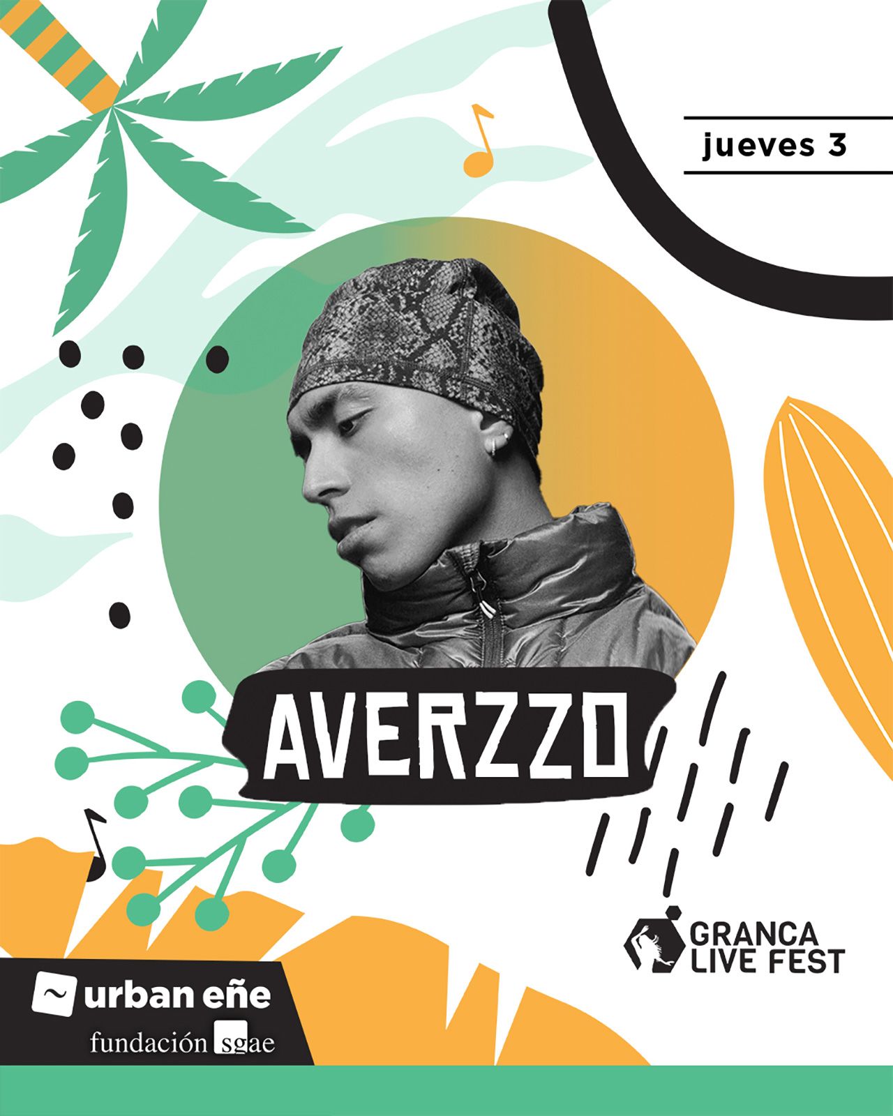 FEED-Averzzo.jpg