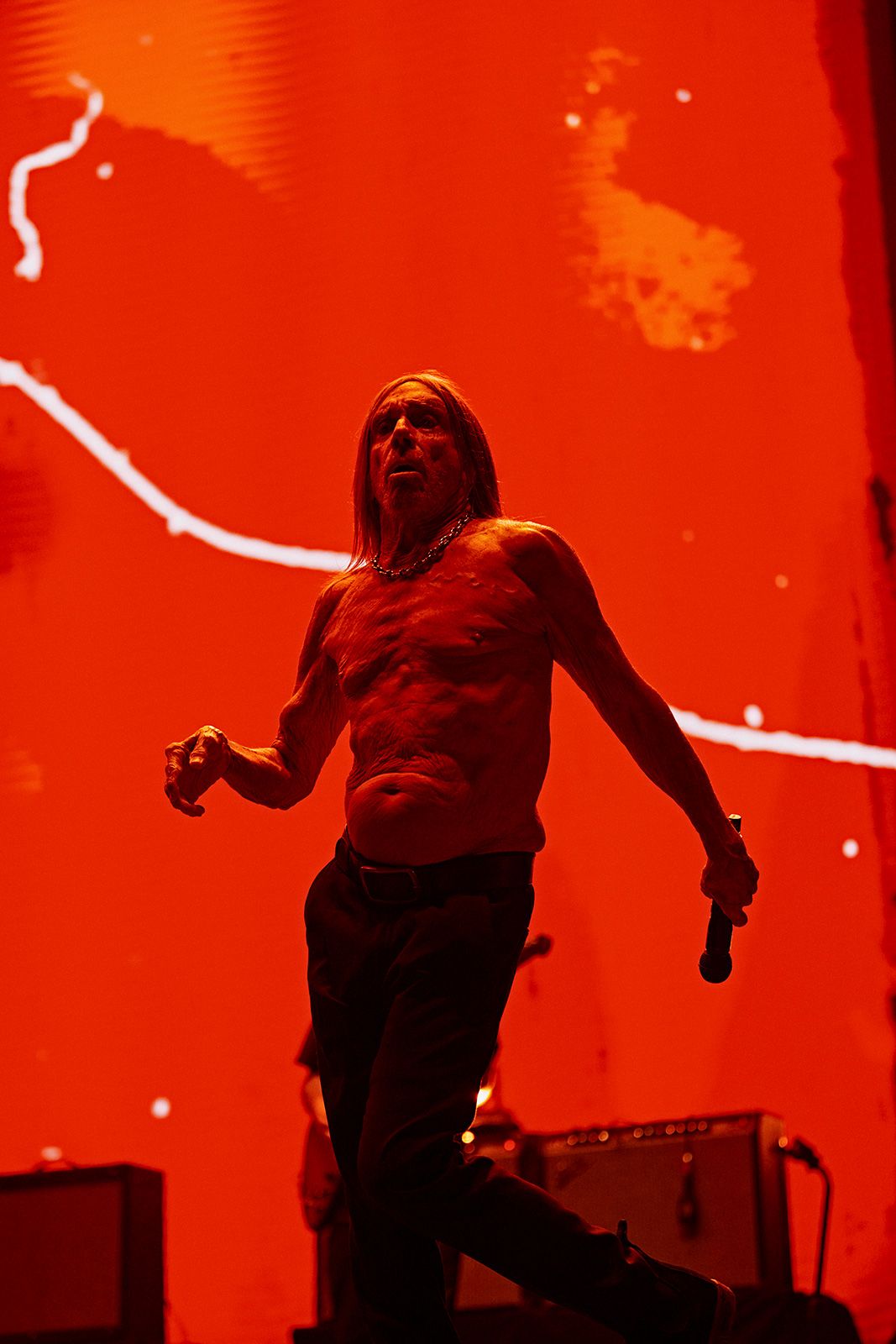 25MLF_AndresIglesias_IggyPop_0007.jpg