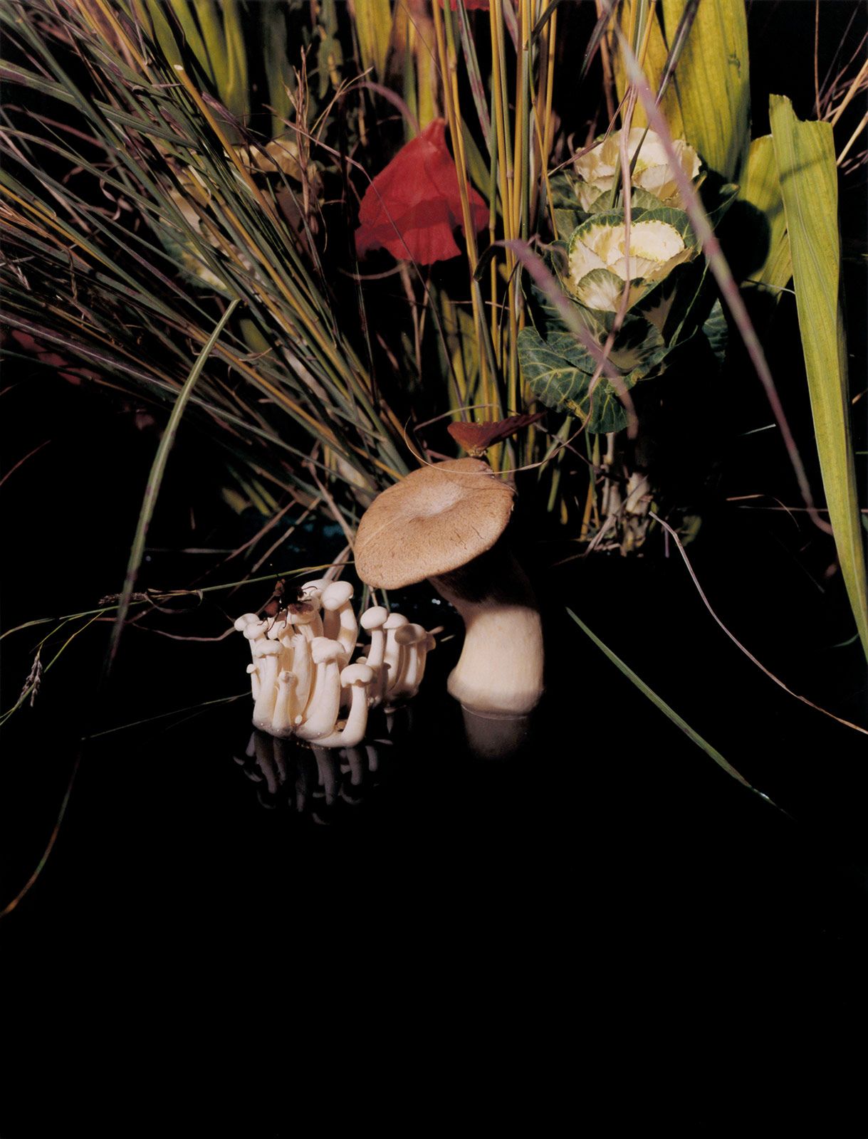 Rojuu Acero Magazine 7.jpg