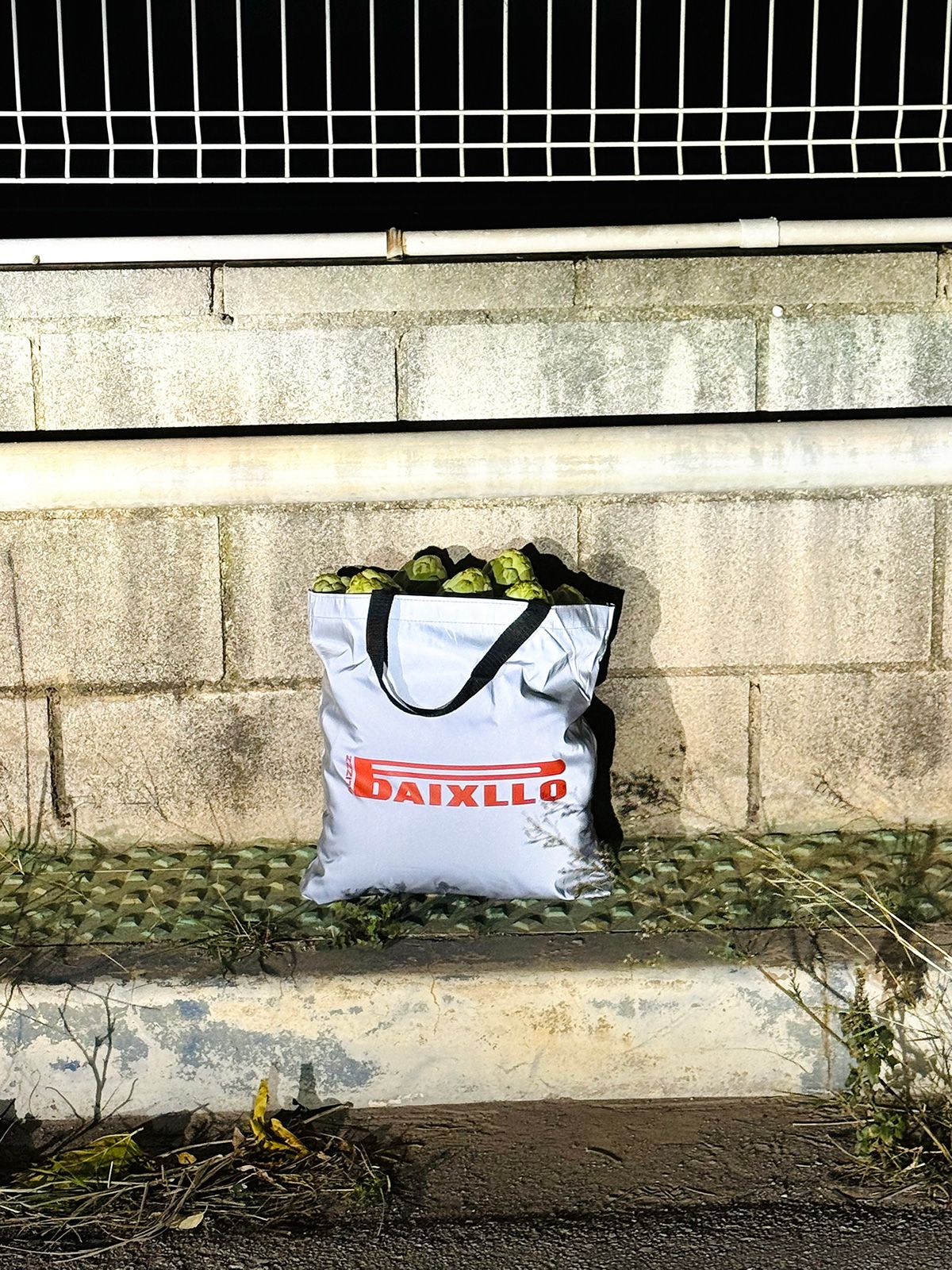 Alizz_merch_1.jpg