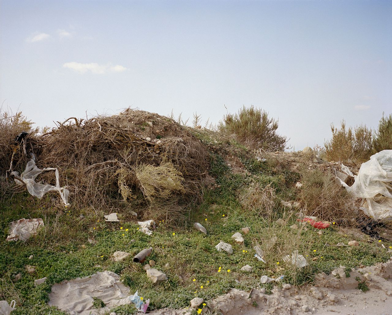 Lúa-Ribeira.-Untitled,-from-the-series-“Agony-in-the-Garden”,-2021-2023,-courtesy-of-the-artist-©-Lúa-Ribeira03.jpg