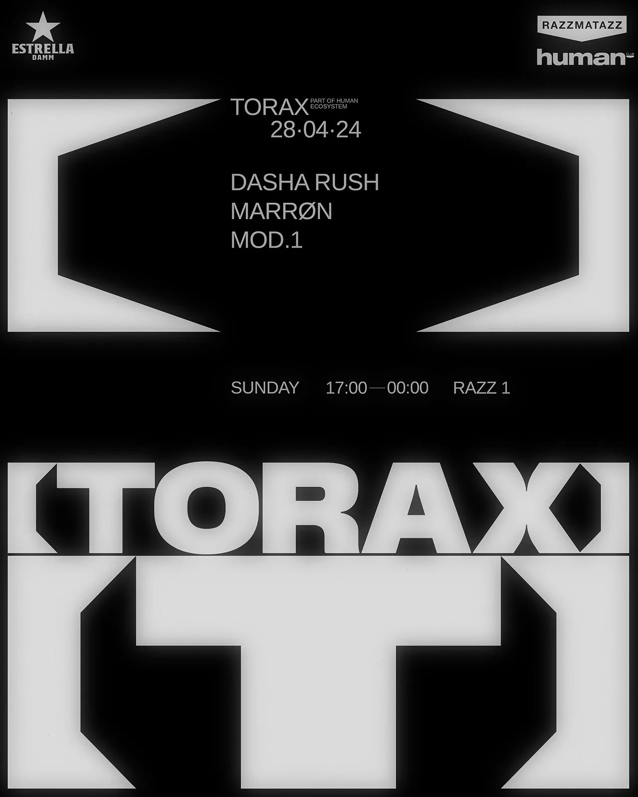 torax.jpg.webp
