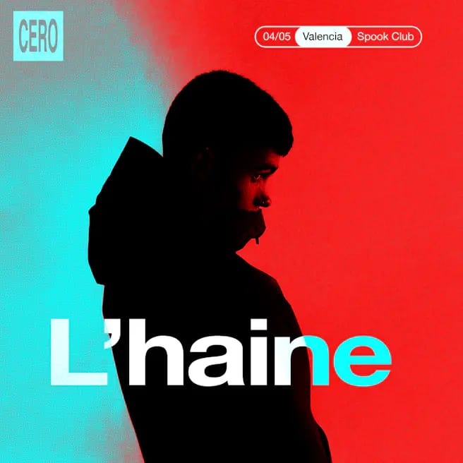 L_haine.webp