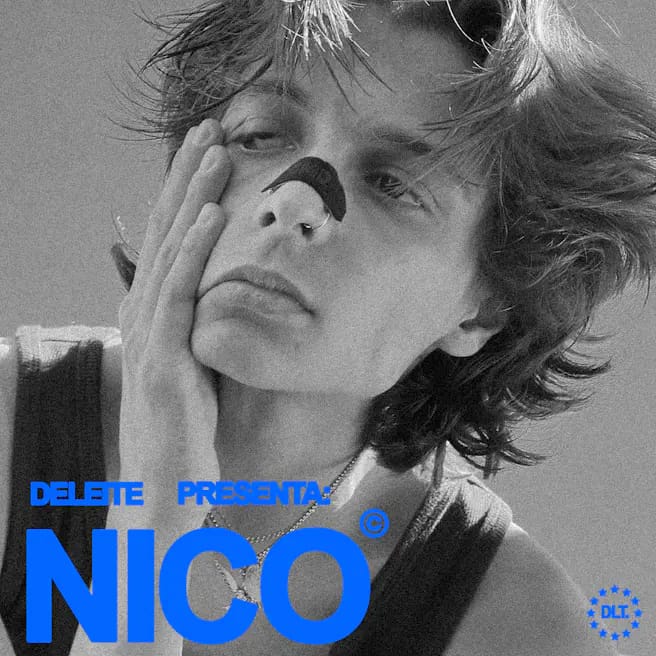 nico.webp