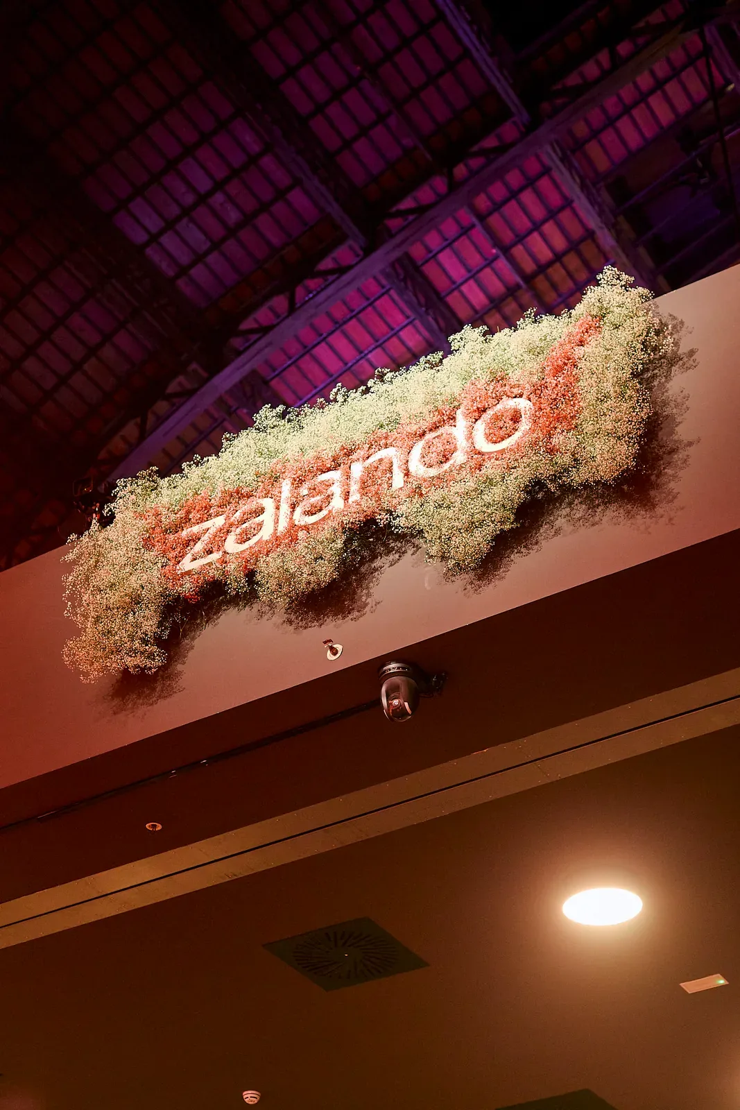 acero-verbena-zalando-07