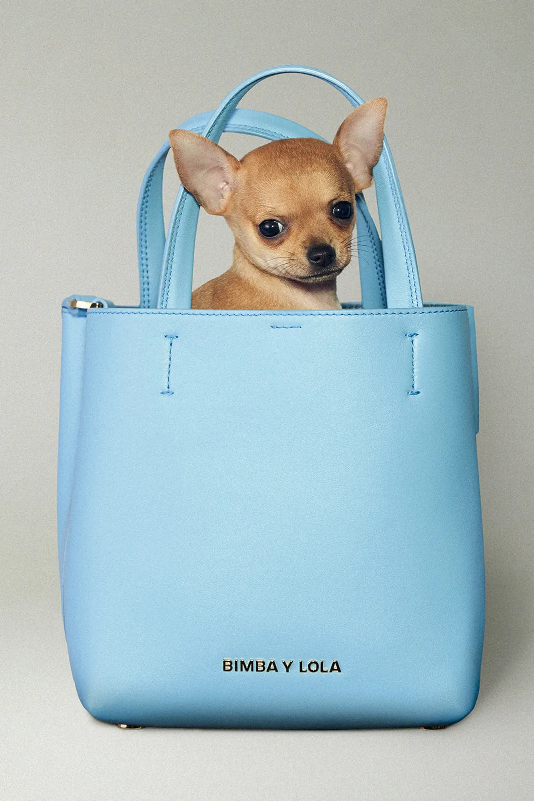 ACERO-BIMBA-Y-LOLA-CHIHUAHUA-6