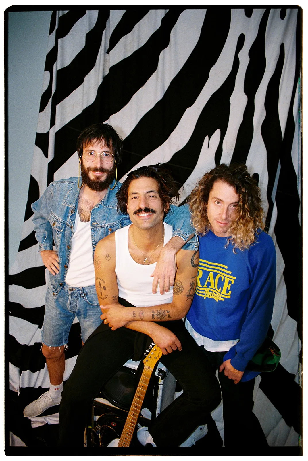 Sexy-Zebras