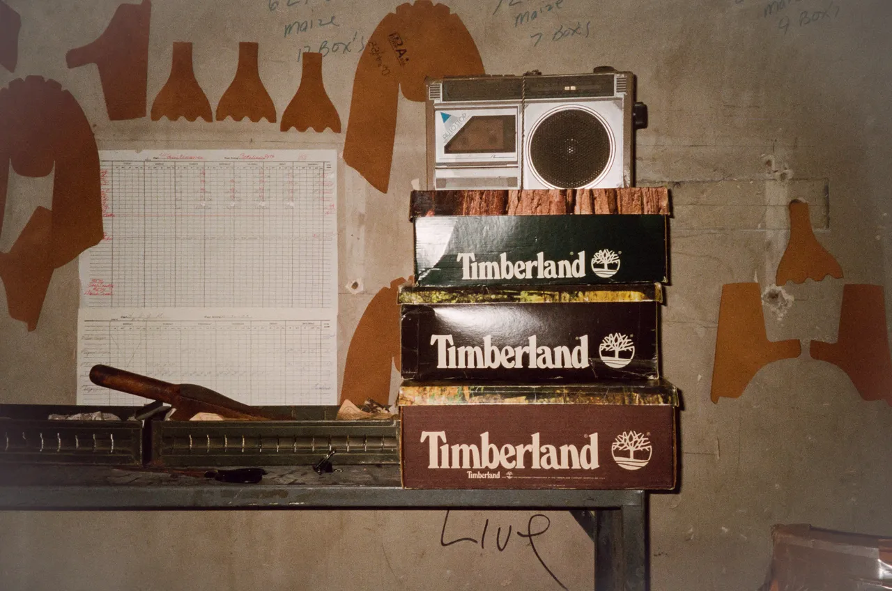 Timberland_5