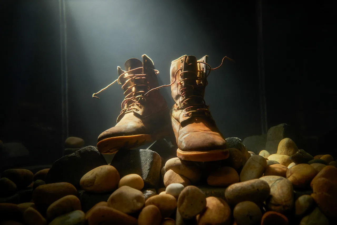 Timberland_1